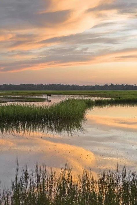 Where The Crawdads Sing Aesthetic, Marsh Aesthetic, Delia Owens, Crawdads Sing, Pretty Sky, Paradise On Earth, Foto Art, Nature Aesthetic, Beauty Art