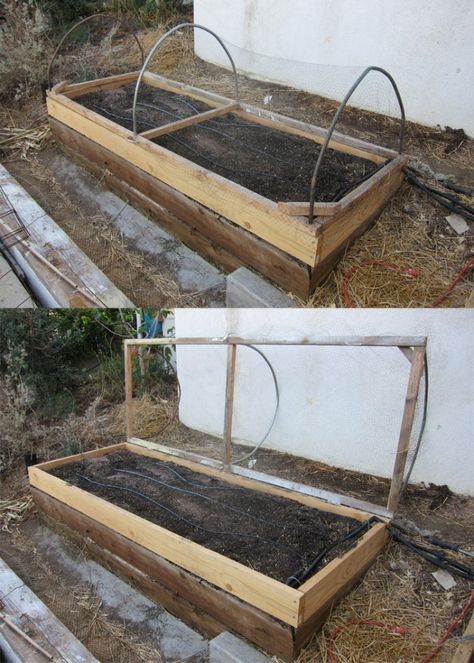 hinged raised vegetable bed Cat Proof Garden Raised Beds, Raised Garden Bed Cover, Bed Barrier, Garden Bed Cover, Raised Bed Vegetable Garden, Dirt Therapy, Garden Offices, Garden 2023, Veggie Gardens