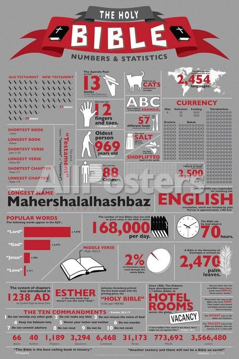 Statistics Poster, Bible Infographics, Bible Numbers, 5 Solas, Woord Van God, Bible Study Help, Fina Ord, The Holy Bible, Bible History