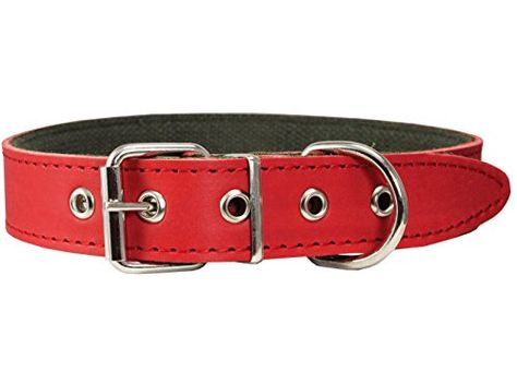 Thick Genuine Leather Dog Collar Cotton Padded 125 Wide Neck Circumf 145175 Red * For more information, visit image link.Note:It is affiliate link to Amazon. Leather Dog Collar, Popular Dog, Cotton Pads, Dog Collar, Genuine Leather, Pet Supplies, Pet, Collar, Dogs