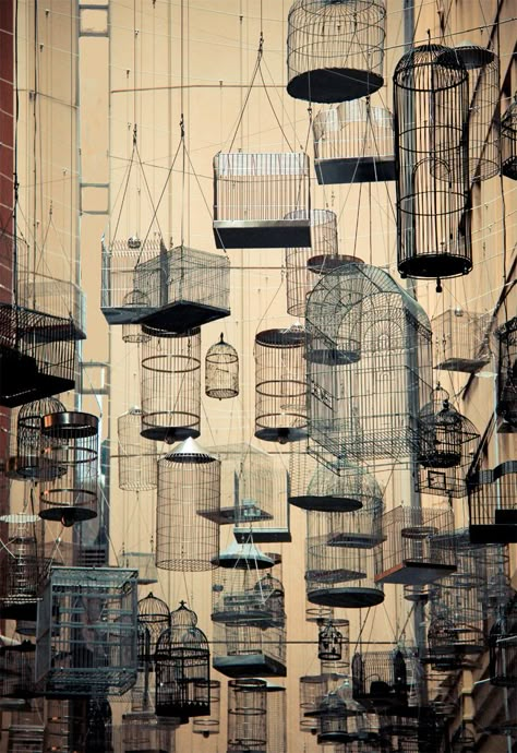 "Cages"   Sydney, 2012 || Photograph by Ralvgar, via flickr Paris Portrait, Urbane Kunst, Berenice Abbott, Travel Outfits, Bird Cages, Foto Art, Bird Cage, Belle Photo, Bird Houses