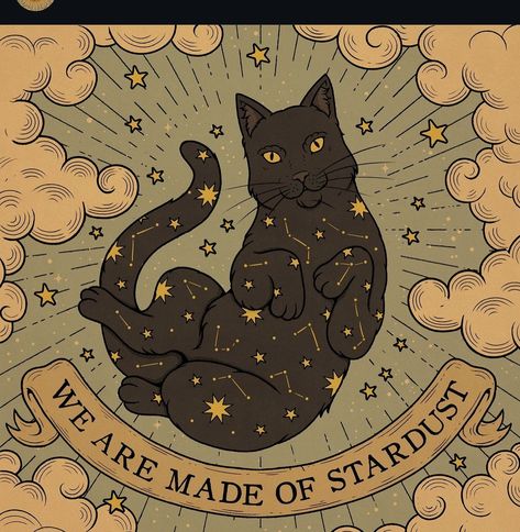 We are all made of stardust ✨💫 #tarot #astrology #cat #illustration #astrologyposts #horoscope #zodiac #blackcat #constellation #halloween #fallvibes Kitty Tattoos, Astrology Aesthetic, Made Of Stardust, Cosmic Cat, Animal Tarot, Tarot Astrology, Crazy Cat, Warrior Cats, Cat Illustration