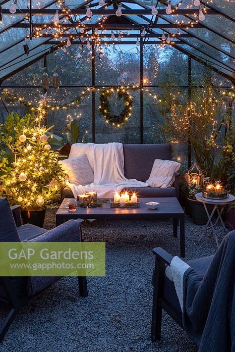 Lounge furniture inside greenhouse decorated for Christmas with tree, fairylights and candles Inside Greenhouse, Outdoor Living Patios, Beautiful Outdoor Living Spaces, Backyard Plan, Greenhouse Interiors, Christmas Plants, Have Inspiration, Outside Living, Greenhouse Gardening