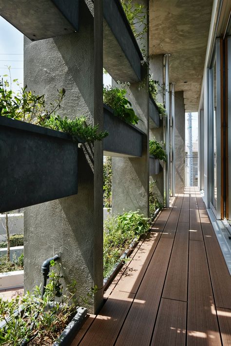 Idea 1840853: House in Yatomigaoka by TSC architects in Japan Green House Exterior Plants, Green Buildings Architecture, Green Space Architecture, Open Space Design, Green Building Architecture, Green Building Design, Fasad Design, Living Architecture, Green House Design