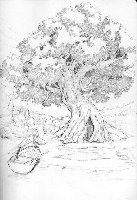 Environment Sketch, Pencil Trees, Tree Drawings Pencil, Nature Sketch, Tree Sketches, Landscape Sketch, Manga Style, Nature Drawing, Arte Sketchbook