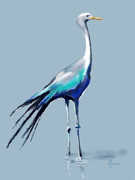 Crane Drawing, Blue Crane, Crane Tattoo, South African Design, Bird Paintings, Africa Animals, Red Crown, Crane Bird, Blue Painting