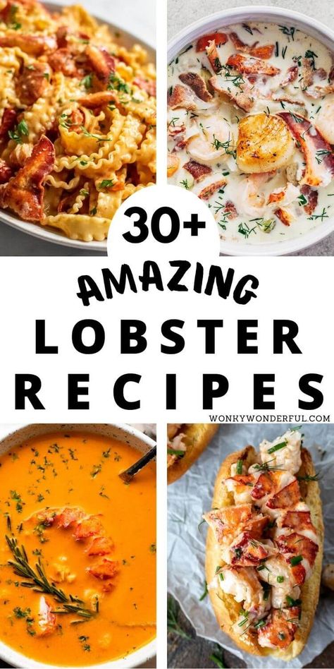 Recipes With Lobster, Lobster Pizza, Lobster Tacos, Lobster Roll Recipes, Lobster Pasta, Lobster Dishes, Lobster Recipes Tail, Lobster Dinner, Lobster Mac And Cheese