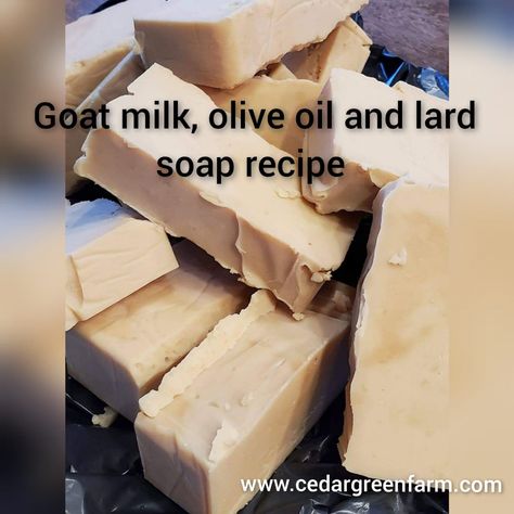 Goat Milk, Lard, Coconut and Olive Oil Soap Recipe – Cedar Green Farm Coconut Soap Recipe, Goat Milk Candles, Olive Oil Soap Recipe, Coconut Oil Soap Recipe, Lye Soap Recipe, Lard Recipe, Lard Soap, Goat Milk Soap Recipe, Milk Soap Recipe