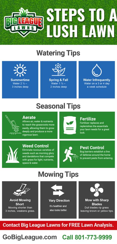 Here are a few tips to help you have the best lawn in your neighborhood! Lawn Maintenance Tips, New House Landscaping, Week Schedule, Lawn Fertilizer, Lawn Care Tips, Lush Lawn, Lawn Maintenance, House Landscaping, House Landscape