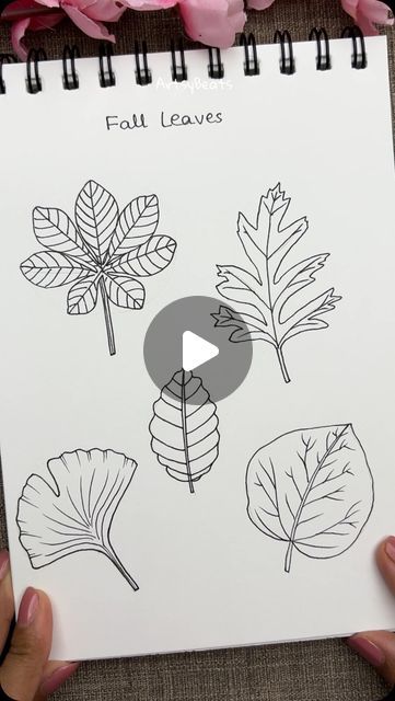 Doodles Mandala, Step By Step Drawings, Fall Leaves Drawing, How To Doodle, Ink Doodles, Drawing Guides, Flower Henna, Leaf Drawing, Doodle Lettering