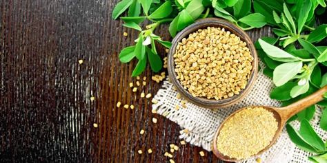 Fenugreek Supplement, Increase Hair Density, Fenugreek Tea, Fenugreek Benefits, Testosterone Replacement Therapy, Vitamin C Tablets, Improve Hair Growth, Boost Testosterone, Holistic Approach To Health