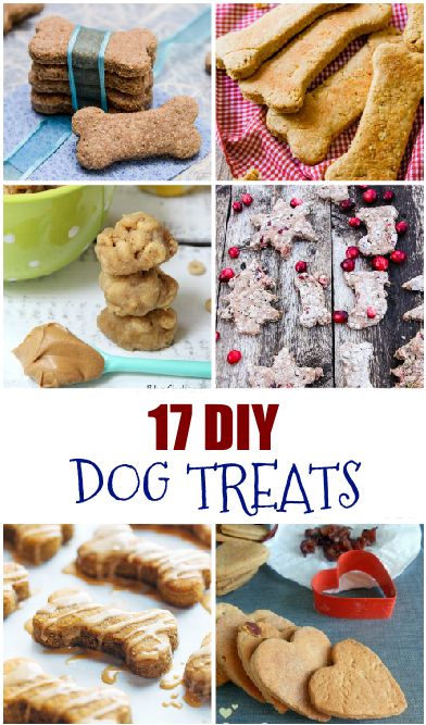 DIY Dog Treat Recipes and Gifts for Dog Lovers - Suburbia Unwrapped Diy Dog Gifts, Homemade Dog Cookies, Diy Dog Food, Dog Biscuit Recipes, Healthy Dog Treats Homemade, Dog Treats Homemade Recipes, Dog Training Treats, Diy Dog Treats, Puppy Treats