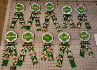 Girl Scout Badges Display, Girl Scout Daisy Petals, Junior Girl Scout Badges, Girl Scout Meeting Ideas, Trophy Ideas, Girl Scout Bridging, Girl Scout Troop Leader, Girl Scout Uniform, Girl Scout Patches