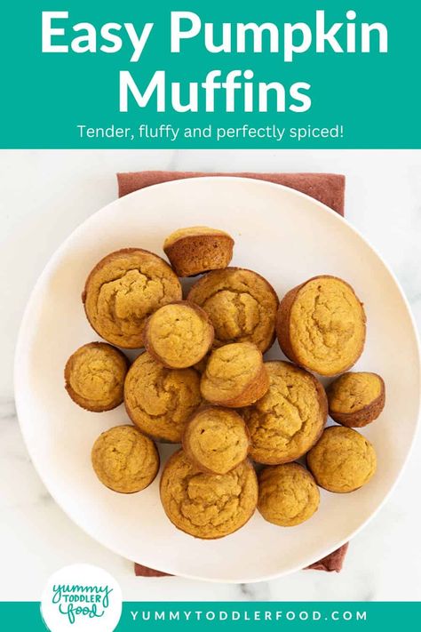 easy pumpkin muffins on plate. Toddler Pumpkin Recipes, Pumpkin Banana Muffins Healthy, Greek Yogurt Pumpkin Muffins, Oat Pumpkin Muffins, Pumpkin Recipes For Toddlers, Pumpkin Blueberry Muffins, Pumpkin Mini Muffins, Kid Muffins, Easy Pumpkin Muffins