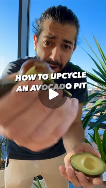 9M views · 749K likes | Armen Adamjan on Instagram: "How to Upcycle an avocado pit! 🥑 So many of us eat avocados and just throw out the middle.. but let that thing produce cleaner air in your home, give it a chance to live and be fascinated by its growth and if you just take good care of it, it’ll reward you with more avocados! 🤩🌱
.
.
.
.
#avocado #lifehacks #tipsandtricks #lifestyle #homemade #diy #plants #plantbased #vegan" Planting Avocado Pit, Grow Avocado From Pit, Avocado Plant From Seed, Avocado Seed Growing, Gardening Veggies, Backyard Raised Garden, Regrow Vegetables, Avocado Pit, Avocado Plant