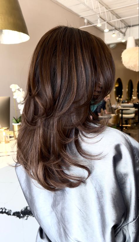 Haylujan Hair, Brown Highlights With Layers, Layers With Highlights Brunettes, Medium Length Hair With Layers Back View, A Lot Of Layers Haircut Medium, Butterfly Cut Mid Length, Medium Dark Brown Hair With Layers, Mid Length With Layers, Light Brown Hair Layers