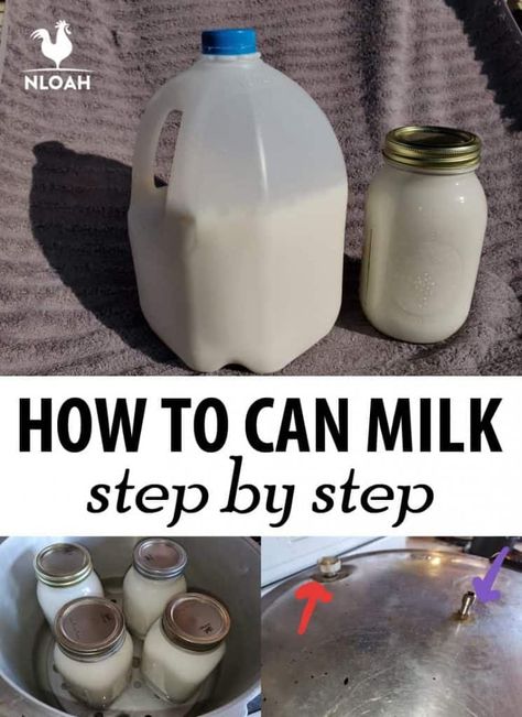 Step by step how to can milk in a pressure canner, safety precautions and tips. #milk #canning Canning Milk, Canned Milk, Canning Meat, Survival House, Goat Milk Recipes, Pressure Canning Recipes, Food Preserving, Canning 101, Home Canning Recipes