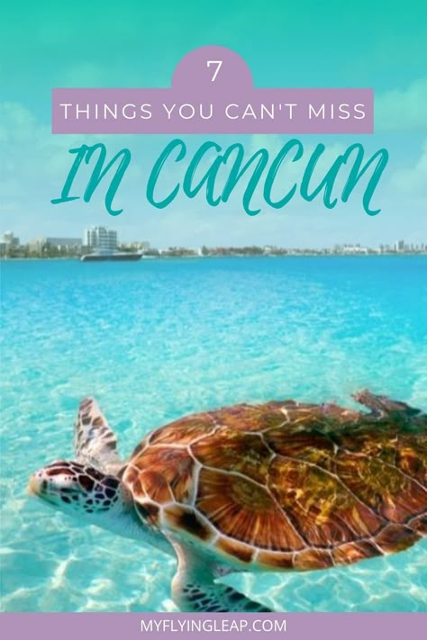 If you're looking for things to do in Cancun for all ages, check this complete guide for all the best activities for kids, adults, and couples. Cancun is a great destination in Mexico whether you are traveling solo or with the kids! Check out the best activities for every age in my new guide. What to do | Where to stay | Where to eat #cancun #cancunmexico #visitcancun #cancuntourism #rivieramaya Travel Cancun Mexico, Cancun Activities Things To Do, Mexico Things To Do, Cancun Mexico Itinerary, Cancun Must Do, What To Do In Cancun Mexico, Things To Do In Cancun Mexico, Cancun With Kids, Cancun Family Vacation