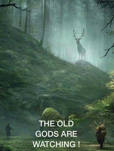 They’re all watching on this National Holiday. The Sidhe, Cailleach and the Old Gods. We await their return.🔥🐍🦌☘️ The Old Gods, Old Gods, Viking Quotes, Male Witch, Pagan Gods, Matka Natura, Viking Life, Norse Pagan, Pagan Art