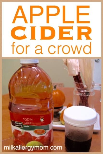 Apple Cider Recipe Using Apple Juice, Apple Cider Recipe With Apple Juice, Apple Cider With Apple Juice, Apple Cider From Apple Juice, Easy Apple Cider Recipe, Hot Apple Juice, Crockpot Apple Cider, Cold Apple Cider, Apple Juice Drinks