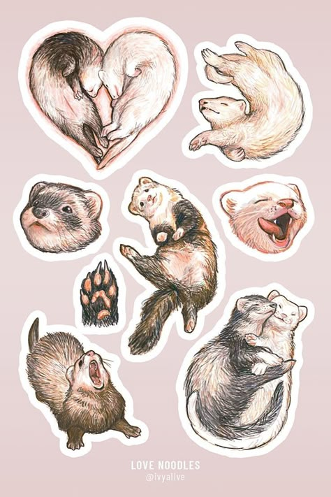 Noodles Sticker, Stickers Drawing, Ferrets Cute, Cute Animal Stickers, Scrapbook Printing, Getting A Tattoo, Scrapbook Stickers Printable, Minimalist Tattoos, Animal Stickers