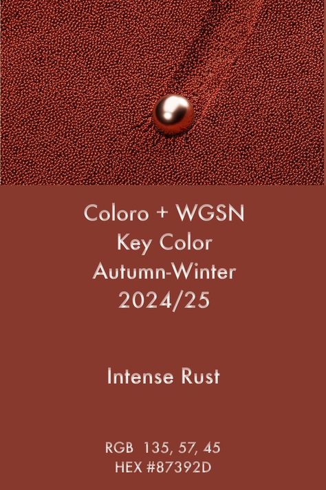 WGSN Key Color | Intense Rust | A/W 2024/25 #trends #color #wgsn #coloro 2024 Color Trends Forecast, Wgsn Aw24/25, Wgsn 2024 Trends, Fw 2024 Color Trends, Wgsn Color Trends 2023, Color Pallets 2024, Pantone 2024 Color Trends Fashion Winter, Color Forecast 2024/2025, Fw24 Color Trends