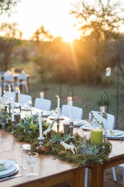 African safari wedding decor: http://www.stylemepretty.com/destination-weddings/2016/10/21/african-bush-safari-wedding/ Photography: Leila Brewster - http://leilabrewsterphotography.com/ Unique Wedding Centerpieces Without Flowers Table Decorations, Safari Wedding Decor, African Safari Wedding, African Wedding Theme, Africa Party, Bush Wedding, Africa Wedding, Safari Wedding, Zoo Wedding