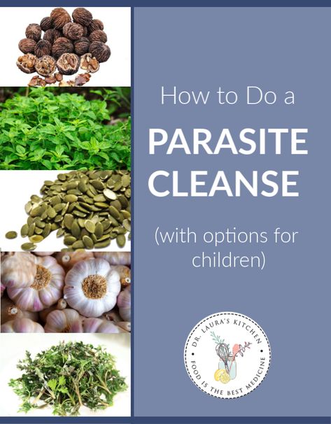 How to Do a Parasite Cleanse (with Options for Children) - Dr. Laura's Kitchen Parasitic Cleanse Natural, Diy Amish Parasite Cleanse, Zuma Parasite Cleanse, How To Parasite Cleanse, At Home Parasite Cleanse, Parasite Cleanse Protocol, Best Parasite Cleanse Products, Parasite And Heavy Metal Cleanse, Parasite Cleanse Diet Recipes