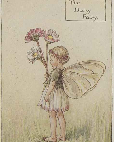 Daisy Fairy, Fairy Garden Art, Flower Meadows, Daisy Drawing, Fairy Tattoo Designs, Daisy Tattoo, Cute Little Tattoos, Cicely Mary Barker, Fairy Tattoo