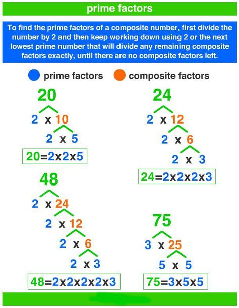 Factors Worksheet, Prime Factorization Worksheet, Prime Factors, Tree Worksheet, Factor Trees, Composite Numbers, Prime Factorization, Teaching Math Strategies, Teaching Mathematics