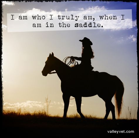 I am who I truly am, when I am in the saddle. ValleyVet.com Equestrian Quotes, Aesthetic Horse Riding, Rodeo Quotes, Equine Quotes, Horse Riding Aesthetic, Inspirational Horse Quotes, Horse Riding Quotes, Cowboy Quotes, Racing Quotes