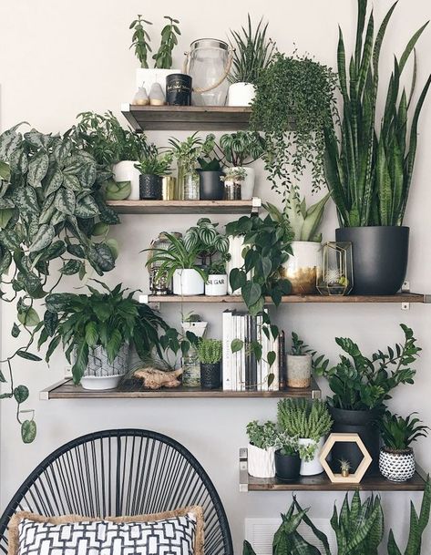 Ce salon a misé sur un corner végétal avec la multiplication d’étagères Vertical Wall Planter Pots, Vertical Wall Planters, Interior Boho, نباتات منزلية, Decor Ikea, Decoration Plante, Bilik Tidur, घर की सजावट, Plant Shelves