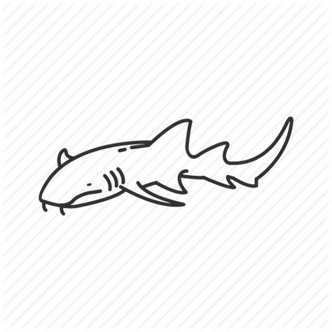 Nurse Shark outline Nurse Shark Drawing, Nurse Shark Tattoo, Aquatic Tattoos, Shark Outline, Aquatic Tattoo, Shark Embroidery, Shark Silhouette, Dove Tattoos, Shark Drawing