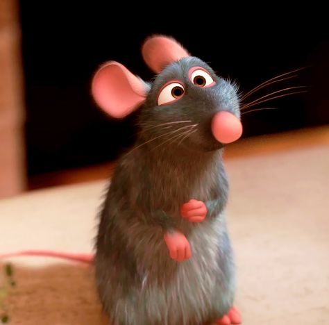 from Pixar’s Ratatouille (2007) Remi From Ratatouille, Remmie The Rat, Ratoutile Movie, Ratatouille Remy Pfp, Remy Ratatouille Aesthetic, Ratatouille Astethic, Ratatouille Pfp, Ratatouille Fanart, Remi The Rat