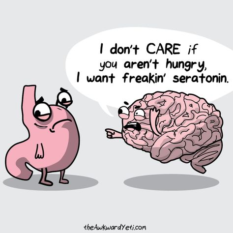 Heart And Brain Comic, Biology Jokes, Awkward Yeti, The Awkward Yeti, Biology Humor, Medical Jokes, Medical Memes, Nerdy Jokes, Psychology Humor