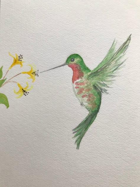 Ruby-throated hummingbird watercolor painting by Amanda Highley Humming Bird Water Colour, Simple Hummingbird Painting, Humming Bird Painting Acrylics Easy, Hummingbird Painting Easy, Simple Bird Painting, Watercolor Birds Easy, Watercolor Inspo Easy, Mum Presents, Hummingbird Watercolor Painting