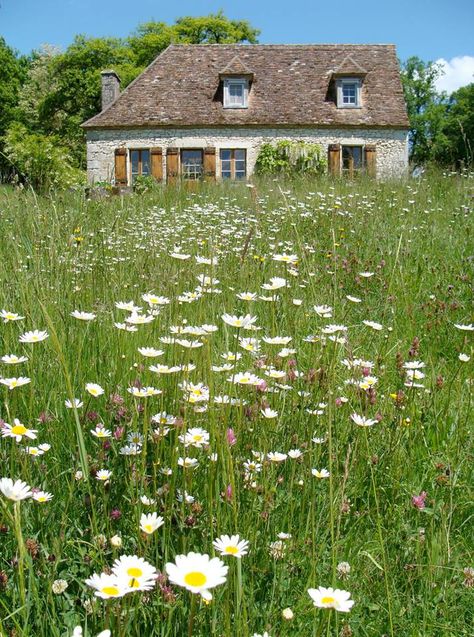 cottage field Japanese Anime Character, Mesmerizing Eyes, Flowing Hair, Cute Cottage, Dream Cottage, Cottage Core Aesthetic, Small Cottage, Farms Living, English House