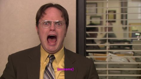 Office Jokes, The Office Show, Office Memes, Office Pictures, Dwight Schrute, Best Boss, Diy Vetement, Reaction Face, Not Ready