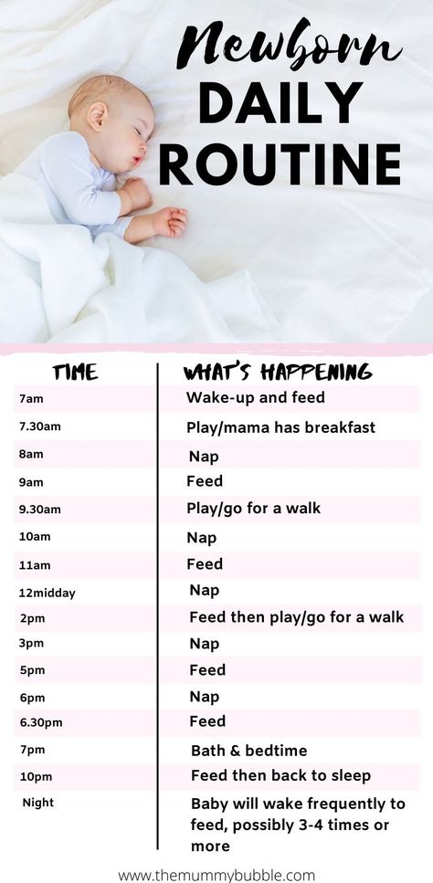 Newborn Routine, Newborn Schedule, Baby Routine, A Daily Routine, Baby Information, Baby Schedule, Newborn Baby Tips, Baby Sleep Schedule, Baby Life Hacks