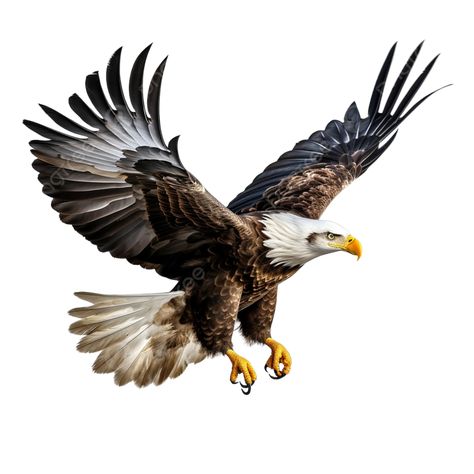 wings of majesty the soaring eagle eagle bird wing png Wing Png, Transparent Wings, Eagle Png, Wings Png, Soaring Eagle, Eagle Bird, Eagle Tattoo, Bald Eagles, Bird Wings