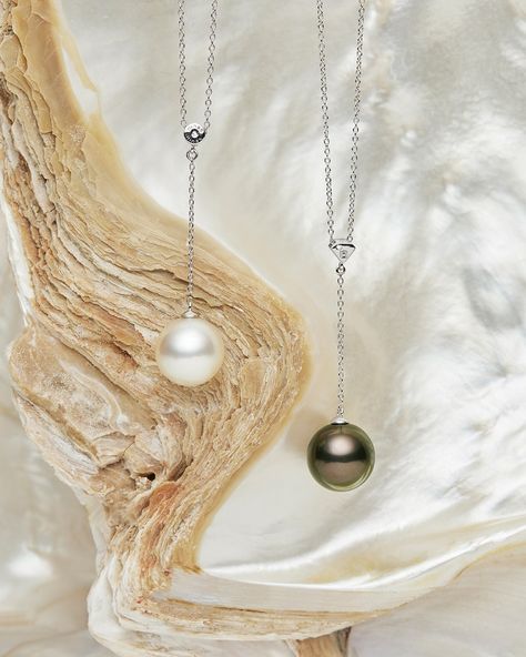 Elegance meets opulence in our range of South Sea lariat necklaces, some of which are beautifully adorned with a fine white diamond! ⁠🖤🦪🤍⁠ ⁠ Revamped and refreshing, we are confident that our South Sea pearl lariat necklaces will become an integral part of your wardrobe.⁠ ⁠ Available for 20% off until the end of October! Shop online or visit the Dunsborough showroom today! 😍 Lariat Necklaces, South Sea Pearl Necklace, White Diamond Necklace, Diamond Drop Necklace, Pearl Lariat Necklace, Pearl Lariat, Pearl Cuff Bracelet, Tahitian Pearl Necklace, Pearl Drop Necklace