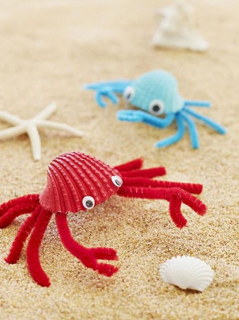 11 creative seashell crafts for kids Crab Crafts For Kids, Diy Crab, Seashell Animals, Red Crab, Pipe Cleaner Crafts, Summer Craft, Sand Table, Summer Crafts For Kids, Ocean Crafts