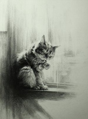 Artwork — Lindsey Kustusch Lindsey Kustusch, Charcoal Drawing Ideas, Charcoal Artwork, Sun Oil, Album Artwork Cover Art, Cats Art Drawing, Cnc Art, Art Charcoal, Raven Art