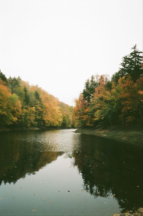 35mm Film Photography Aesthetic Nature, Kodak 400 Film, Forest Film Photography, Fall Film Photography, Nature On Film, Nature Film Photography, Vermont In Fall, 35mm Film Photography Aesthetic, Portra 400 35mm