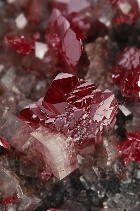 Cinnabar - Locality: Idria Mine, Idria, Gorica Region, Slovenia Size Range: Small cabinet (7-10 cm) Size: 7 × 4 × 3.5 cm Red Gem Aesthetic, Rubys Aesthetic, Cinnabar Crystal, Character Vibes, Blood Stone, Small Cabinet, Red Stone, Crystals Minerals, Minerals Crystals