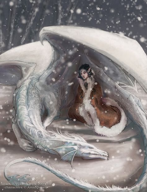 Winter dragon..... Dragons and faeries. Something from my childhood and teen years that I adored. Don't think I'll ever truly outgrow them either. :) Pics Of Dragons, Dragon And Human, Dragon Familiar, Winter Dragon, Dragon Medieval, Snow Dragon, Creature Fantasy, Dragon's Lair, 디즈니 캐릭터