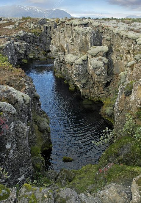 Tectonic plate boundary, Iceland - Stock Image - C019/9279 Tectonic Plate Boundaries, Plate Boundaries, Tectonic Plates, Earth Surface, Plate Tectonics, Science Photos, Buy Prints, Wales England, Photo Library