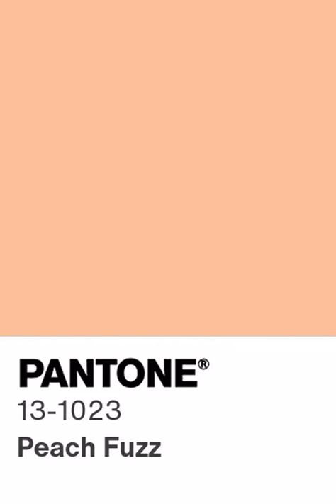 The Pantone 2024 Color of the Year Is Officially Here, and It’s Peachy Color Pesca, 2024 Colors, Pantone 2024, Dutch Boy Paint, Color Of The Year 2024, Color Durazno, Dark Paint Colors, Trending Paint Colors, Crayon Box