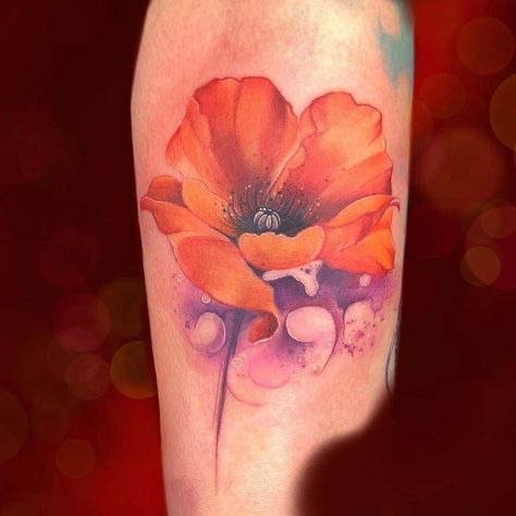 Poppy Tattoo Men, Flower Tattoo Colorful, Poppy Tattoo Sleeve, Flower Outline Tattoo, California Poppy Tattoo, White Poppy Flower, Tattoo Colorful, Poppy Flower Tattoo, Golden Poppy