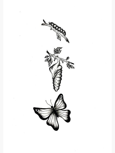 Catapillar Butterfly Tattoo, Butterfly Evolution, Metamorphosis Tattoo, Caterpillar Tattoo, Stippling Tattoo, Tattoo Colors, Feminine Tattoo Designs, Evolution Tattoo, Butterfly Metamorphosis